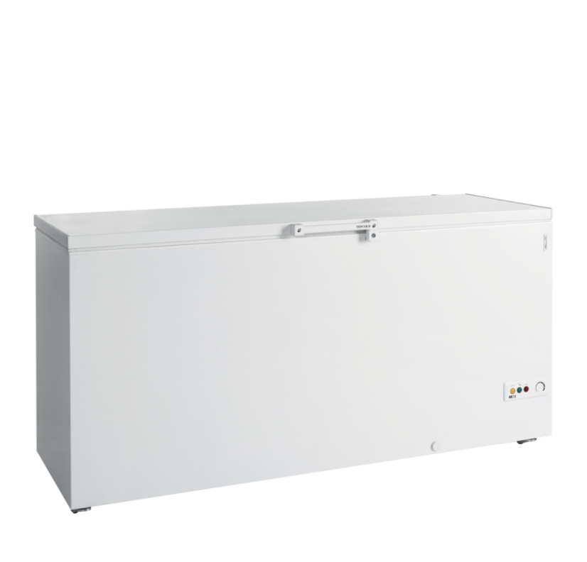 
                                    TEFCOLD FR 605 SL
                                