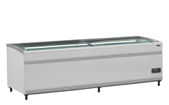 
                                    TEFCOLD SFI 250 F VS
                                