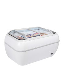 
                                    TEFCOLD Twin HEAD-CF
                                