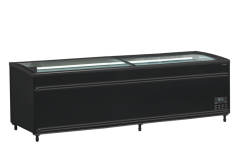 
                                    TEFCOLD SFI250B-CF VS
                                