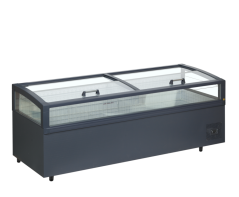 
                                    TEFCOLD VIEW 250 CF VS
                                