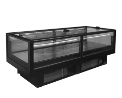 
                                    EIDA 250B
                                