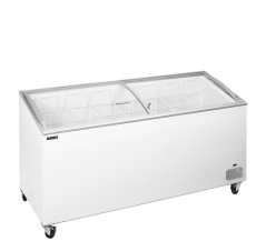 
                                    TEFCOLD IC 551 SCEB
                                