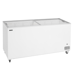 
                                    TEFCOLD IC 551 SC
                                
