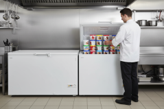 Mraznička na zmrzlinu plné víko - TEFCOLD FR 505 SL