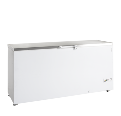 
                                    TEFCOLD FR 605 S SL
                                
