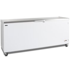 
                                    TEFCOLD CF700S SL
                                