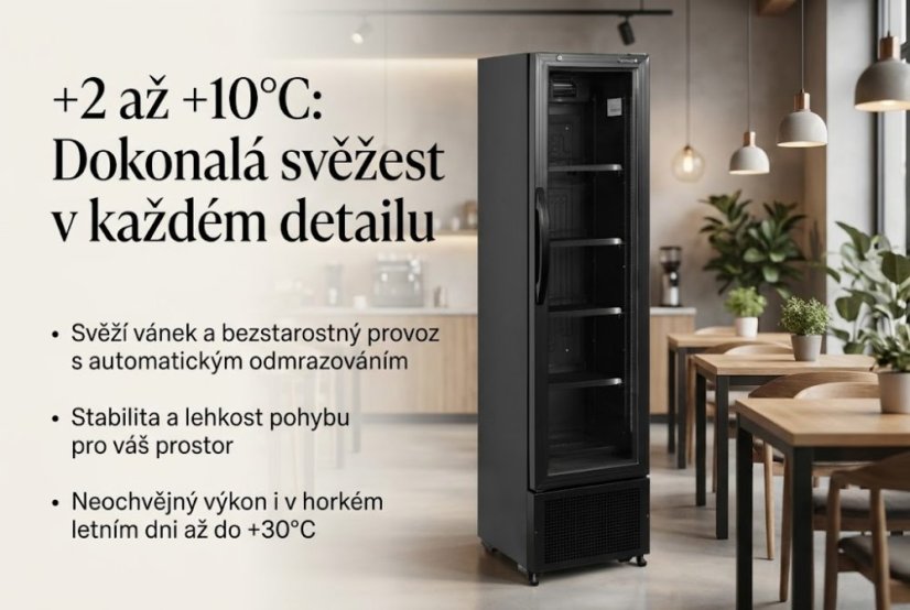 Chladicí skříň prosklené dveře - TEFCOLD FS176H Black