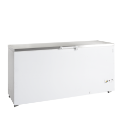 
                                    TEFCOLD FR 605 S SL
                                