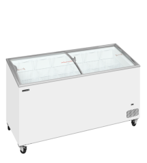 
                                    TEFCOLD IC 501 SCEB
                                